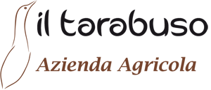 Il tarabuso